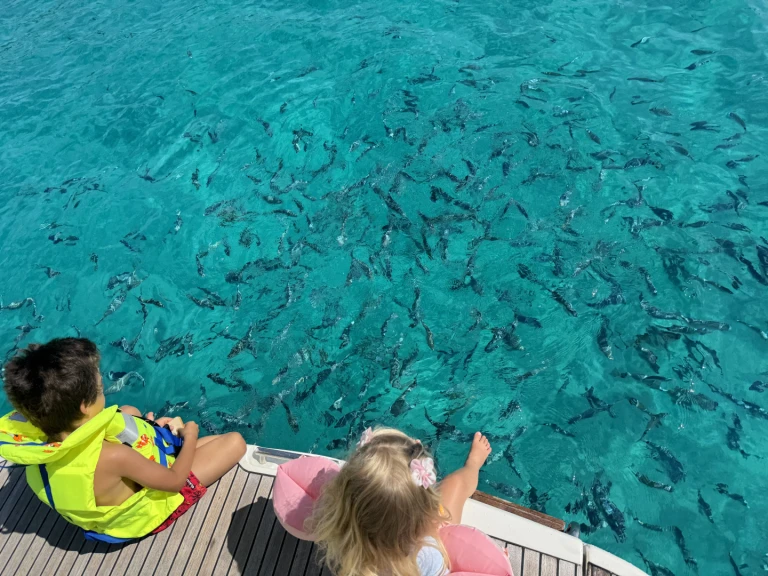 Louer Bateau à moteur avec ou sans skipper Jeanneau à Mandelieu-la-Napoule