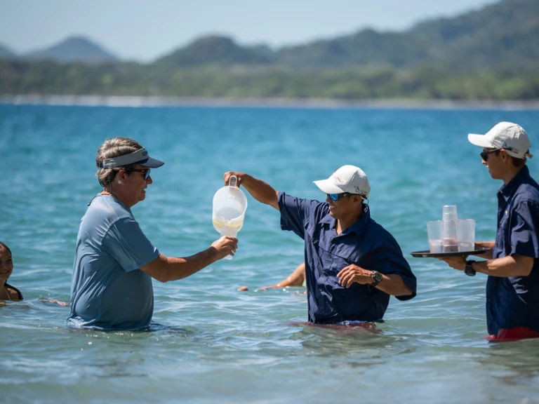 Location Bateau à moteur Custom Made avec permis