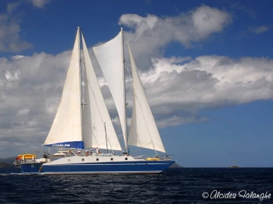 Noleggio barche Muirhead Trimaran CUAN LAW a Road Town su Samboat