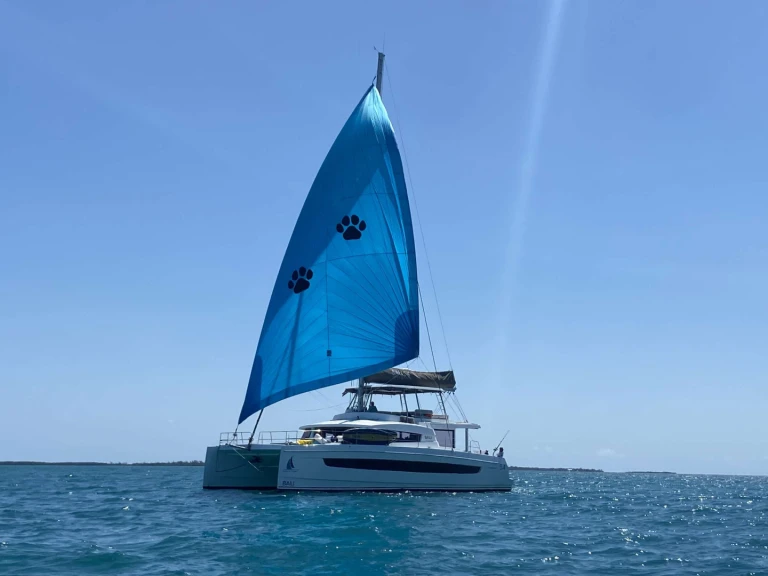 Location Yacht à Bahamas - Bali NAUTI DOGS 5.4