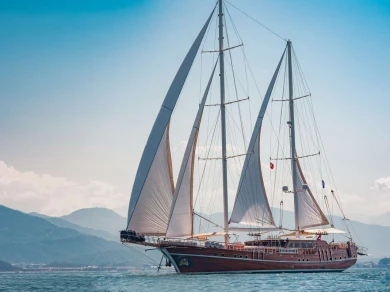Vermietung Yacht Custom Gulet-Motor Sailor mit Führerschein