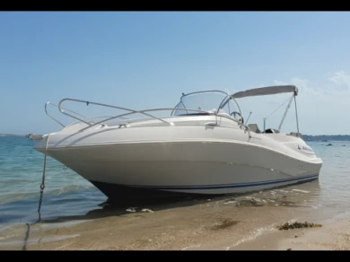 Quicksilver Quicksilver 555 WA Commander charter bareboat or skippered in  Trébeurden