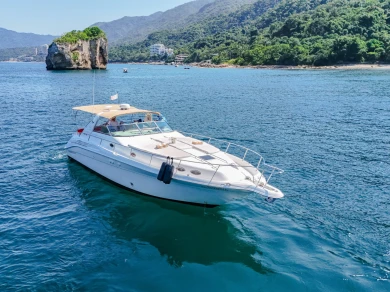 Alquiler Catamarán Custom Made con o sin  título de navegación