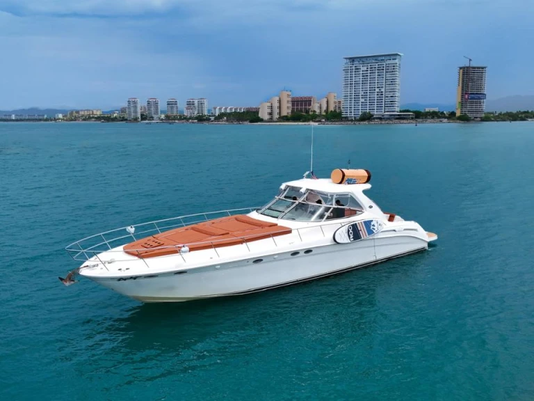 Louer Bateau à moteur avec ou sans skipper Custom Made à Puerto Vallarta