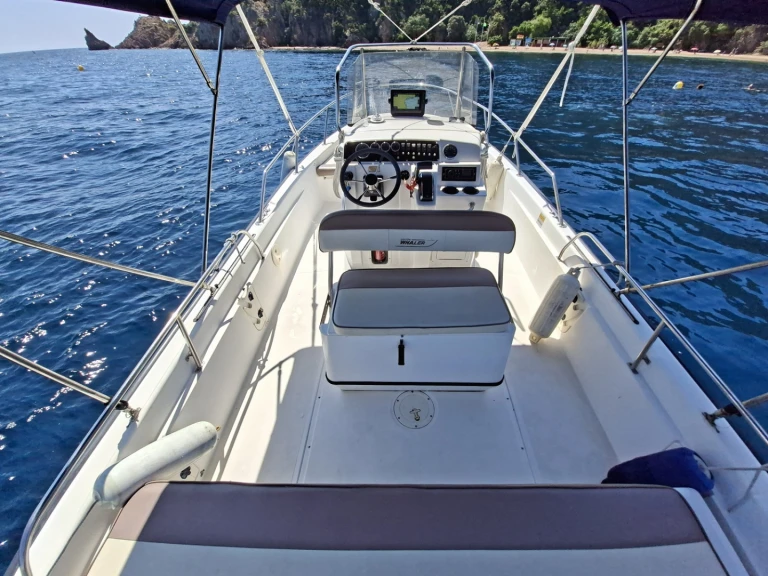 Location bateau Boston Whaler Boston Whaler 220 Dauntless à Port de la Rague sur Samboat