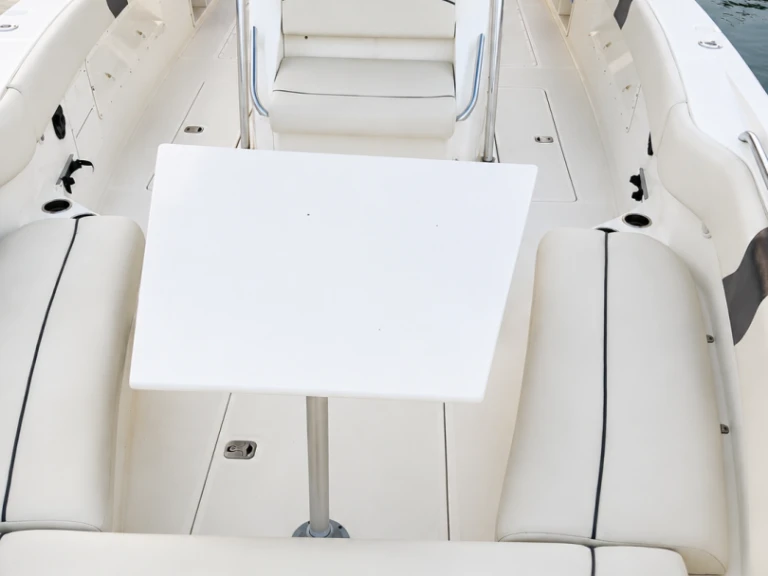 Location Bateau à moteur USA avec permis
