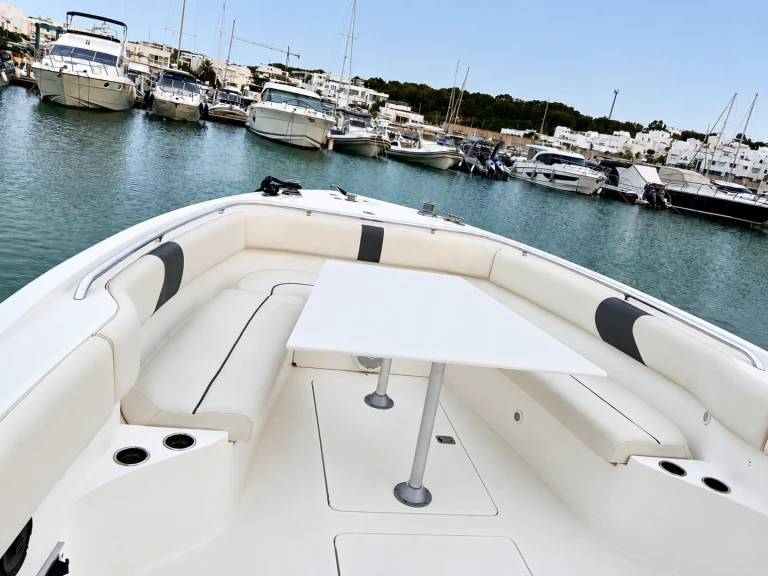 Bateau à moteur à louer à Gammarth au meilleur prix
