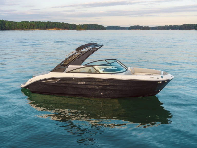 Sea Ray  250 sdx a louer à Port d'Arcachon