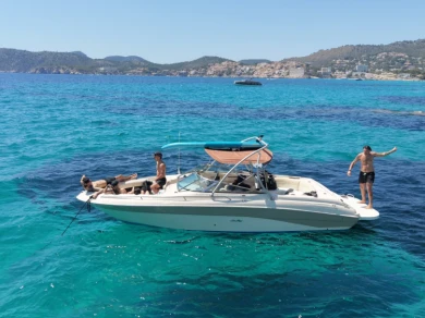 Huur een Sea Ray Sea Ray 260 in Santa Ponsa