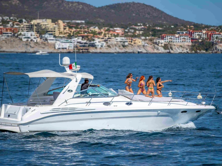 Location Bateau à moteur à Cabo San Lucas - Sea Ray Sea Ray 420 Sundancer