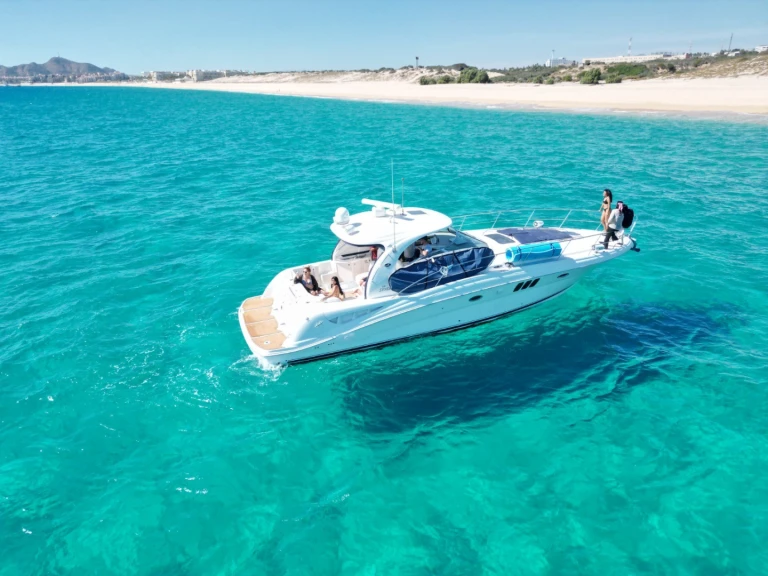 Location à Cabo San Lucas - Sea Ray Sea Ray 455 Sundancer sur SamBoat