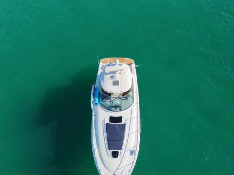 Sea Ray Sea Ray 455 Sundancer a louer à Cabo San Lucas
