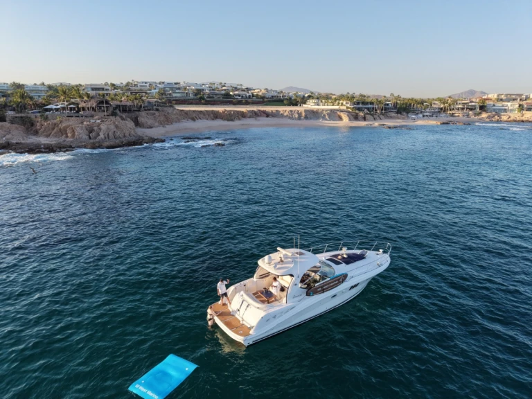 Location Bateau à moteur à Cabo San Lucas - Sea Ray Sea Ray 455 Sundancer