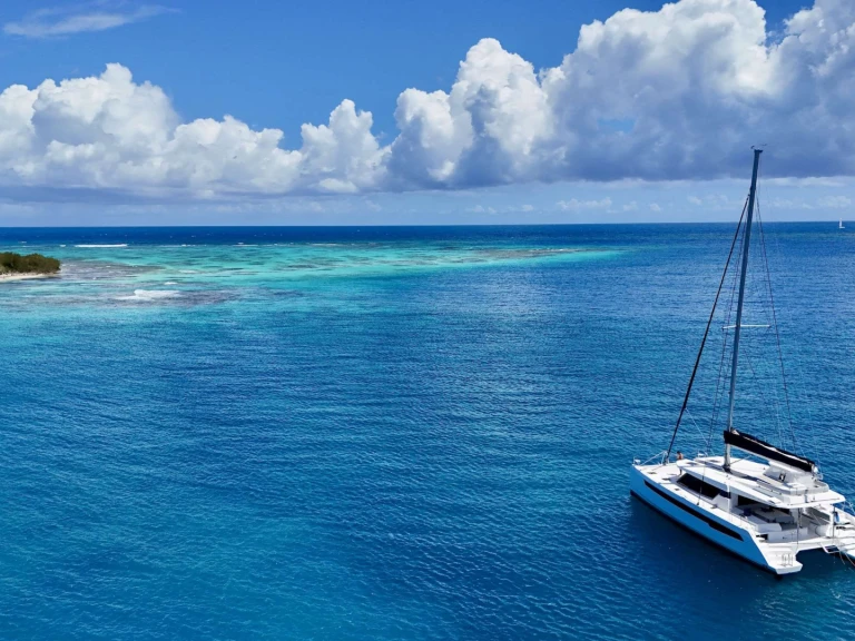 Location à Tortola - Leopard RESILIENCE sur SamBoat