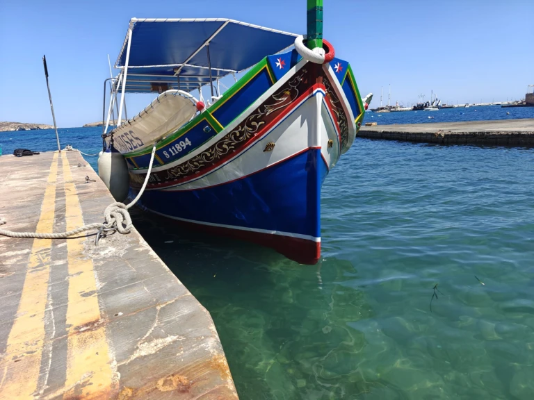 Location Bateau à moteur Custom avec permis