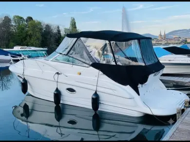 Bateau à moteur à louer à Genève (Ville) au meilleur prix