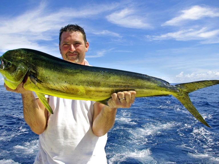 Location à Puerto Rico - Custom Made custom sur SamBoat