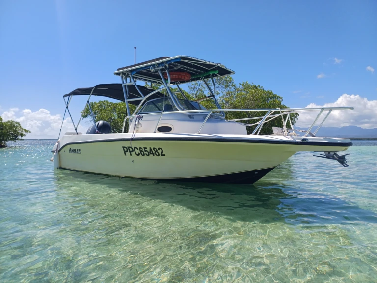 Location Bateau à moteur Angler avec permis