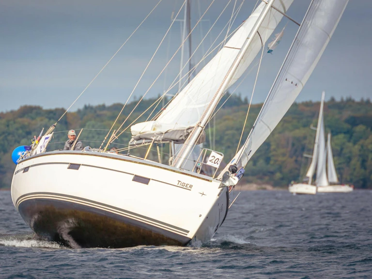 Location bateau Bavaria Cruiser 37 à Flensburg sur Samboat