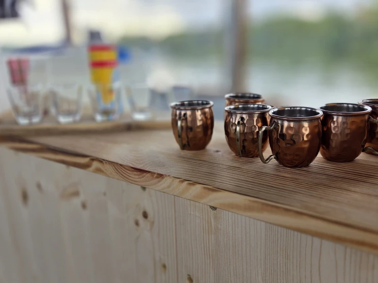 Louer Bateau à moteur avec ou sans skipper Custom à Berlin