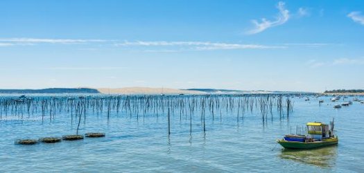 Location bateau Bassin d'Arcachon
